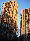 Beacon Hill Luxury High Rise Apartments...NO FEE!!!